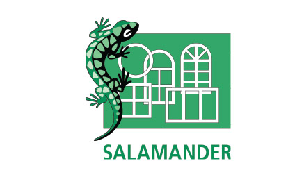Salamander